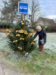 sapins 2025 5