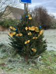 sapins 2025 4