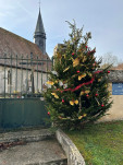sapins 2025 2