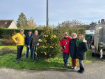 sapins 2025 1